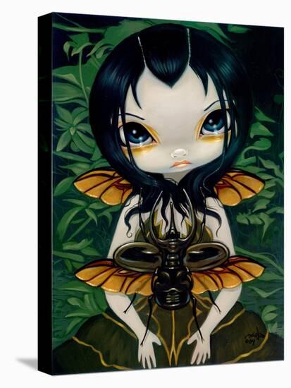 Beetle Wings-Jasmine Becket-Griffith-Stretched Canvas