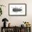 Beetle (Zabrus Tenebrioides)-null-Framed Giclee Print displayed on a wall