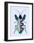 Beetle-Ayse-Framed Art Print