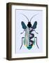 Beetle-Ayse-Framed Art Print