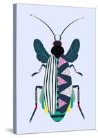 Beetle-Ayse-Stretched Canvas