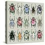 Beetledrive, 2008-Sarah Hough-Stretched Canvas