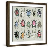 Beetledrive, 2008-Sarah Hough-Framed Giclee Print