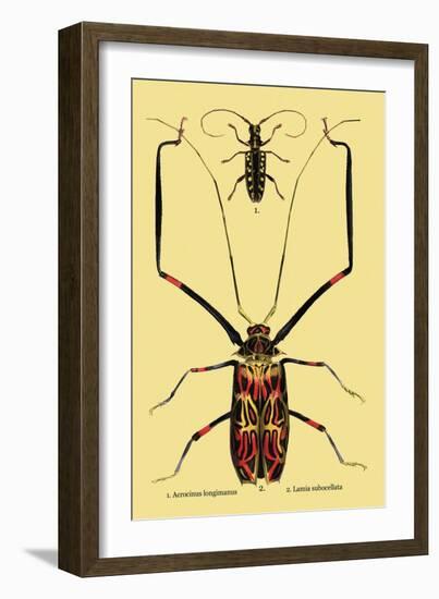 Beetles: Acrocinus Longimanus and Lamia Subocellata-Sir William Jardine-Framed Art Print