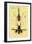 Beetles: Chiasognathus Chiloensis and Lucanus Cervus-Sir William Jardine-Framed Art Print