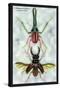 Beetles: Chiasognathus Chiloensis and Lucanus Cervus-Sir William Jardine-Stretched Canvas