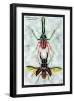 Beetles: Chiasognathus Chiloensis and Lucanus Cervus-Sir William Jardine-Framed Art Print