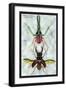Beetles: Chiasognathus Chiloensis and Lucanus Cervus-Sir William Jardine-Framed Art Print
