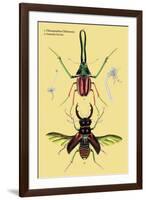 Beetles: Chiasognathus Chiloensis and Lucanus Cervus-Sir William Jardine-Framed Art Print