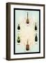 Beetles from Around the World-Sir William Jardine-Framed Art Print