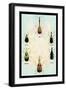 Beetles from Around the World-Sir William Jardine-Framed Art Print