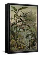 Beetles in a Flood-null-Framed Stretched Canvas