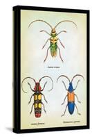Beetles: Lamia Ornata, L. Formosa and Desmocerus Cyaneus-Sir William Jardine-Stretched Canvas