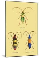 Beetles: Lamia Ornata, L. Formosa and Desmocerus Cyaneus-Sir William Jardine-Mounted Art Print