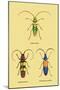 Beetles: Lamia Ornata, L. Formosa and Desmocerus Cyaneus-Sir William Jardine-Mounted Art Print