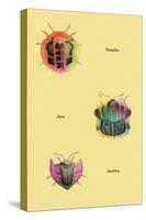 Beetles of Sumatra, Java and America-Sir William Jardine-Stretched Canvas