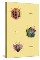 Beetles of Sumatra, Java and America-Sir William Jardine-Stretched Canvas