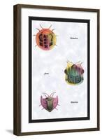 Beetles of Sumatra, Java and America-Sir William Jardine-Framed Art Print