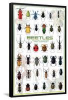 Beetles-null-Framed Poster