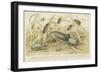 Beetles-null-Framed Giclee Print