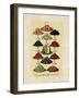 Beetons I-null-Framed Art Print