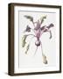 Beetroot, 1995-Margaret Ann Eden-Framed Giclee Print