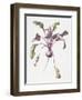 Beetroot, 1995-Margaret Ann Eden-Framed Giclee Print