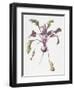 Beetroot, 1995-Margaret Ann Eden-Framed Giclee Print