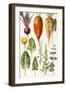 Beetroot and Other Vegetables-Elizabeth Rice-Framed Giclee Print