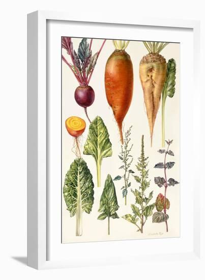 Beetroot and Other Vegetables-Elizabeth Rice-Framed Giclee Print