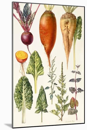 Beetroot and Other Vegetables-Elizabeth Rice-Mounted Giclee Print