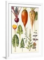 Beetroot and Other Vegetables-Elizabeth Rice-Framed Giclee Print