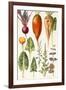 Beetroot and Other Vegetables-Elizabeth Rice-Framed Giclee Print