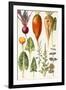 Beetroot and Other Vegetables-Elizabeth Rice-Framed Premium Giclee Print