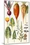 Beetroot and Other Vegetables-Elizabeth Rice-Mounted Premium Giclee Print