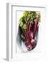 Beetroot with Leaves in Metal Bowl-Foodcollection-Framed Photographic Print