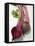 Beetroot with Leaves, One Halved, Close-Up-null-Framed Stretched Canvas