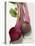 Beetroot with Leaves, One Halved, Close-Up-null-Stretched Canvas