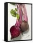 Beetroot with Leaves, One Halved, Close-Up-null-Framed Stretched Canvas