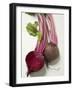 Beetroot with Leaves, One Halved, Close-Up-null-Framed Premium Photographic Print