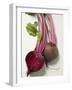 Beetroot with Leaves, One Halved, Close-Up-null-Framed Premium Photographic Print