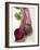 Beetroot with Leaves, One Halved, Close-Up-null-Framed Photographic Print