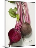 Beetroot with Leaves, One Halved, Close-Up-null-Mounted Photographic Print