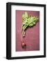 Beetroot with Leaves-Foodcollection-Framed Photographic Print