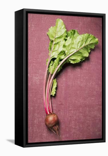 Beetroot with Leaves-Foodcollection-Framed Stretched Canvas