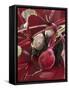 Beetroot with Soil-Karl Newedel-Framed Stretched Canvas