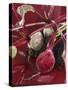 Beetroot with Soil-Karl Newedel-Stretched Canvas