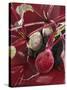 Beetroot with Soil-Karl Newedel-Stretched Canvas