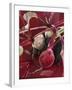 Beetroot with Soil-Karl Newedel-Framed Photographic Print