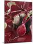 Beetroot with Soil-Karl Newedel-Mounted Photographic Print